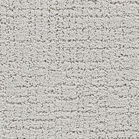 Pattern Ice Cap Gray Carpet