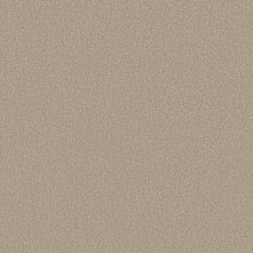 Cut Pile Latte Beige/Tan Carpet