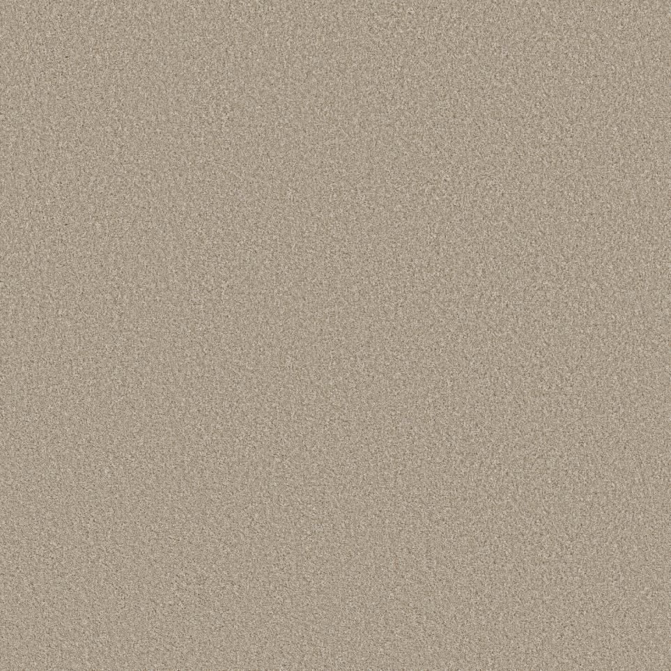 Cut Pile Latte Beige/Tan Carpet