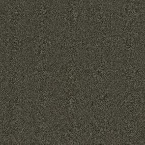 Textured Saxony Sable Evening Brown Carpet