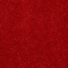 Textured Saxony Cardinal Red Carpet