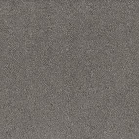 Textured Saxony NIGHTSHADE Beige/Tan Carpet