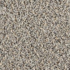 Textured Saxony NIGHTSHADE Beige/Tan Carpet