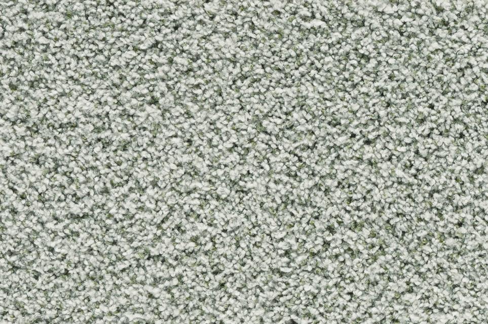 Textured Saxony Exhibit Gray Carpet