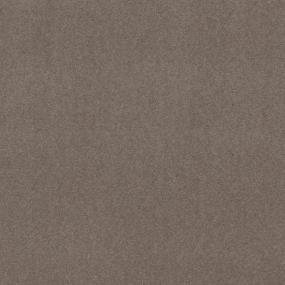 Textured Saxony Uptown Taupe Brown Carpet