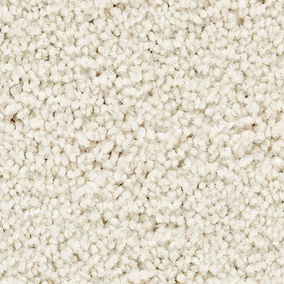 Textured Saxony Atrium Beige/Tan Carpet