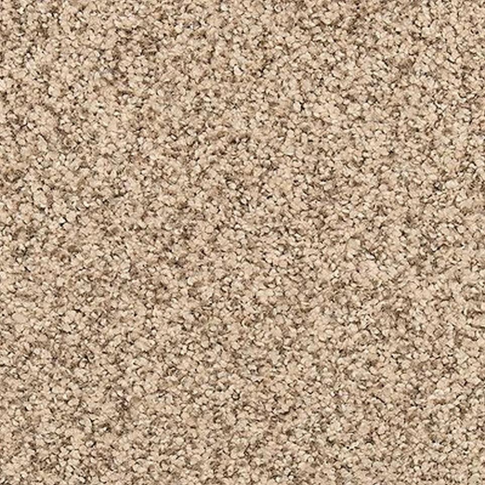 Textured Saxony Tuscan Brown Carpet