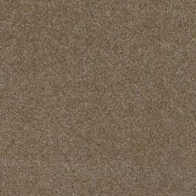 Textured Saxony Morel Brown Carpet