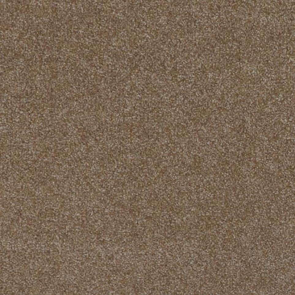 Textured Saxony Morel Brown Carpet