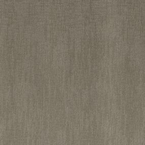 Pattern Mesquite Brown Carpet