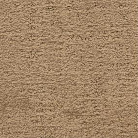 Pattern Montecito Brown Carpet