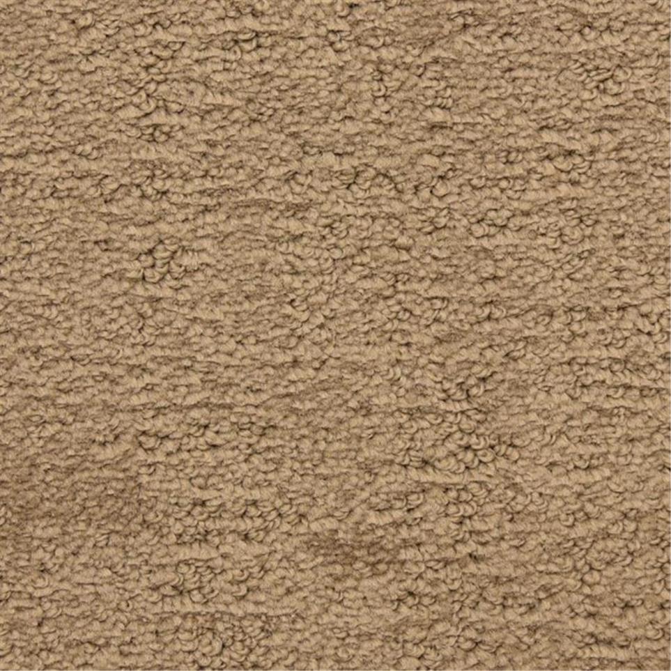 Pattern Montecito Brown Carpet