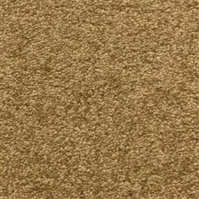 Casual Texture Woofruff Beige/Tan Carpet