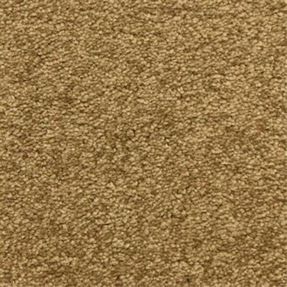 Casual Texture Woofruff Beige/Tan Carpet