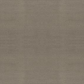 Pattern Deckwood Beige/Tan Carpet