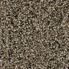 Textured Saxony Focus Brown Carpet