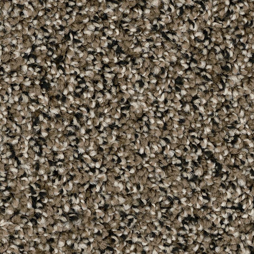 Texture Focus Brown Carpet