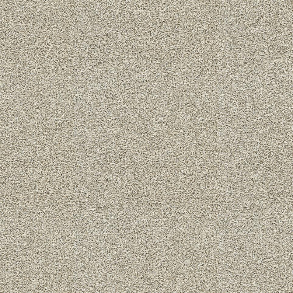 Textured Saxony Notable Beige/Tan Carpet