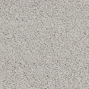 Textured Saxony Sandstone Gray Carpet