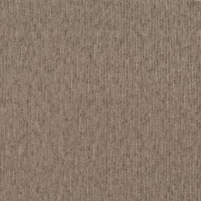 Pattern Satinwood Brown Carpet