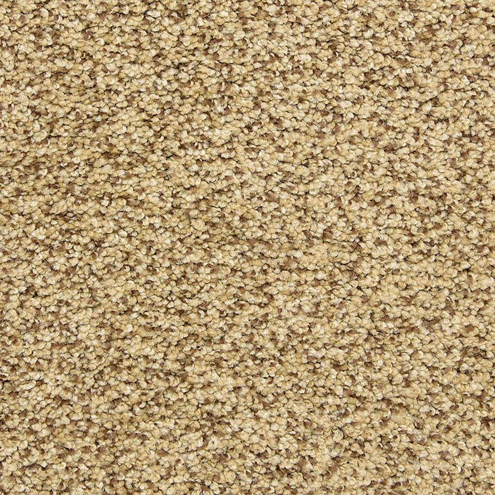 Texture Stone Works Beige/Tan Carpet