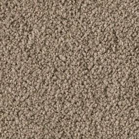 Textured Saxony Teak Brown Carpet