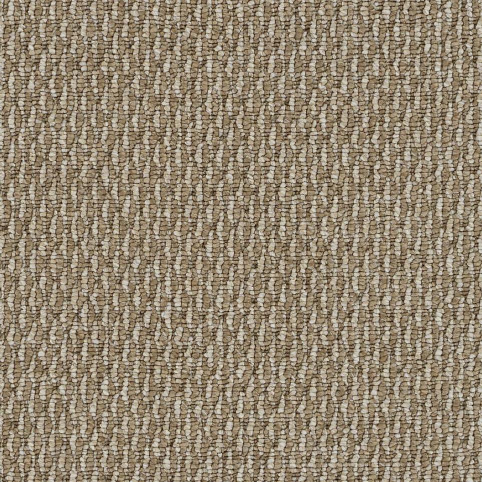 Berber Riding High Brown Carpet