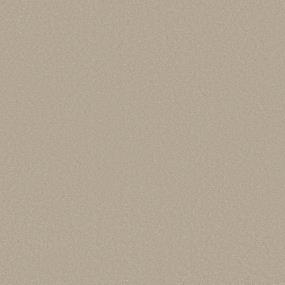 Textured Saxony Malted Milk Beige/Tan Carpet
