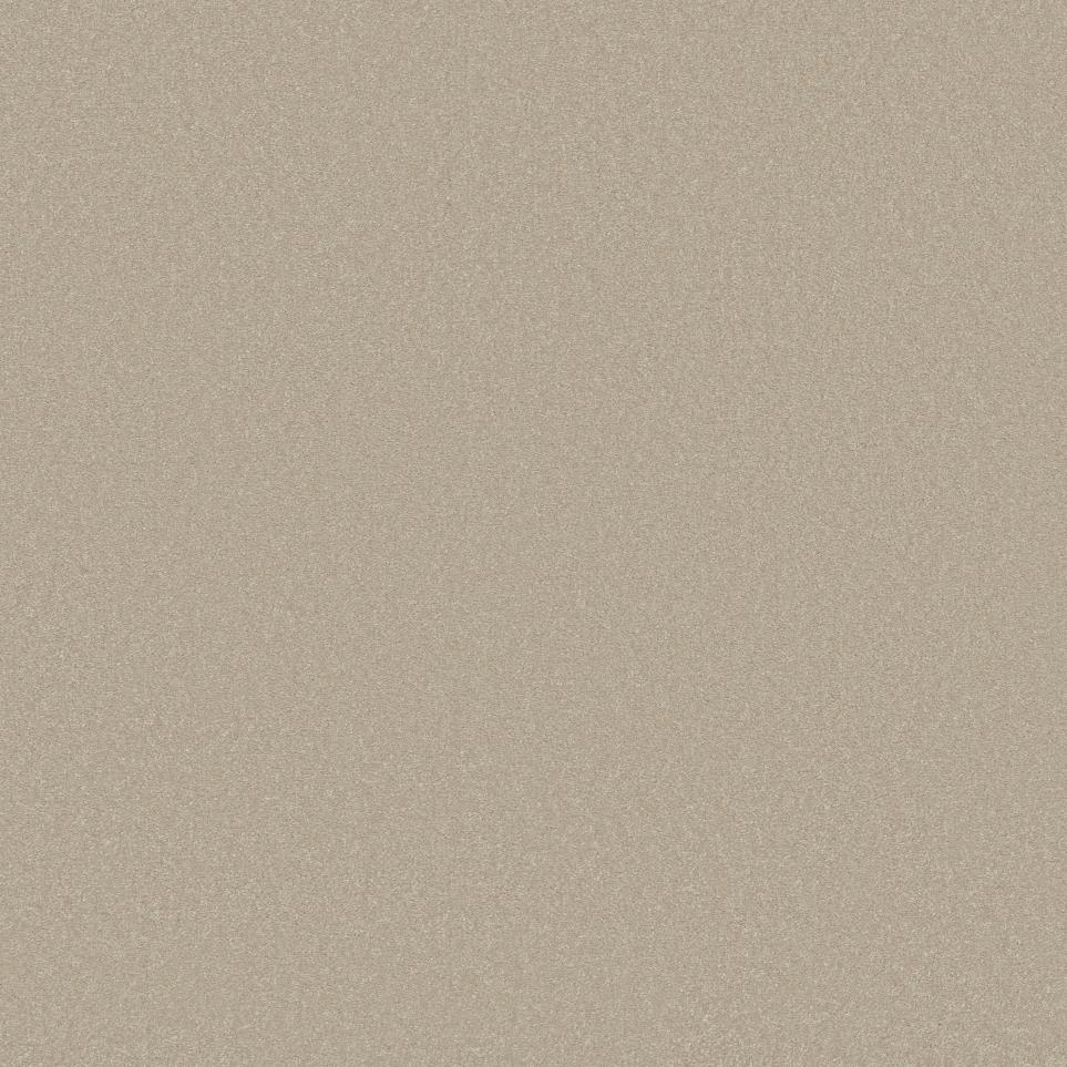 Textured Saxony Malted Milk Beige/Tan Carpet