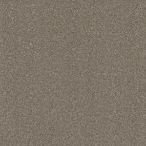 Texture Refine Beige/Tan Carpet