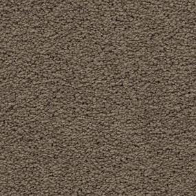 Textured Saxony Enchanting Brown Carpet
