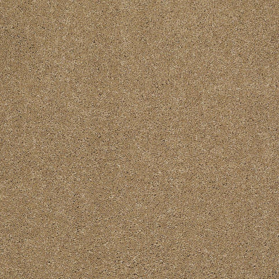 Texture Bellagio Beige/Tan Carpet