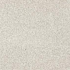 Casual Texture Seashell Gray Carpet