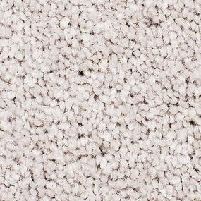 Textured Saxony COASTAL DUNE Beige/Tan Carpet