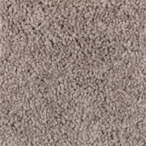 Textured Saxony Cliffside Beige/Tan Carpet