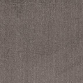 Pattern Harmony Beige/Tan Carpet