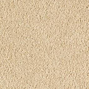 Textured Saxony Desert Star Beige/Tan Carpet