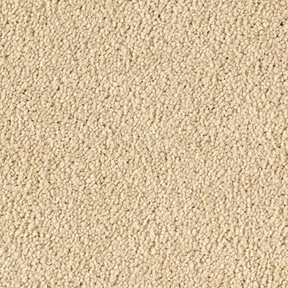 Textured Saxony Desert Star Beige/Tan Carpet