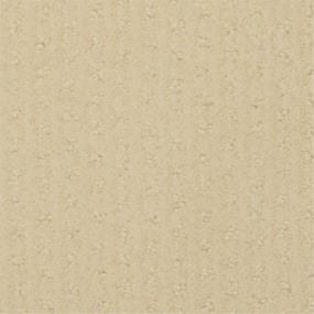 Pattern Scorecard Beige/Tan Carpet