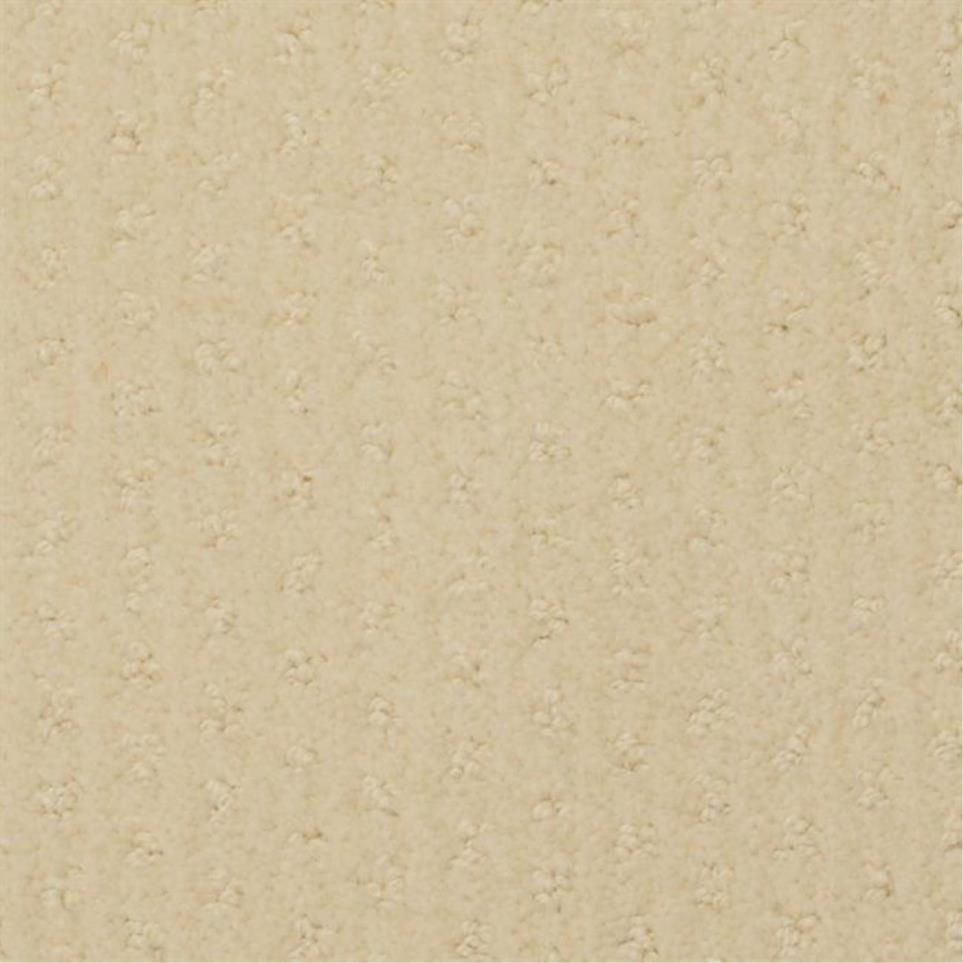 Pattern Scorecard Beige/Tan Carpet