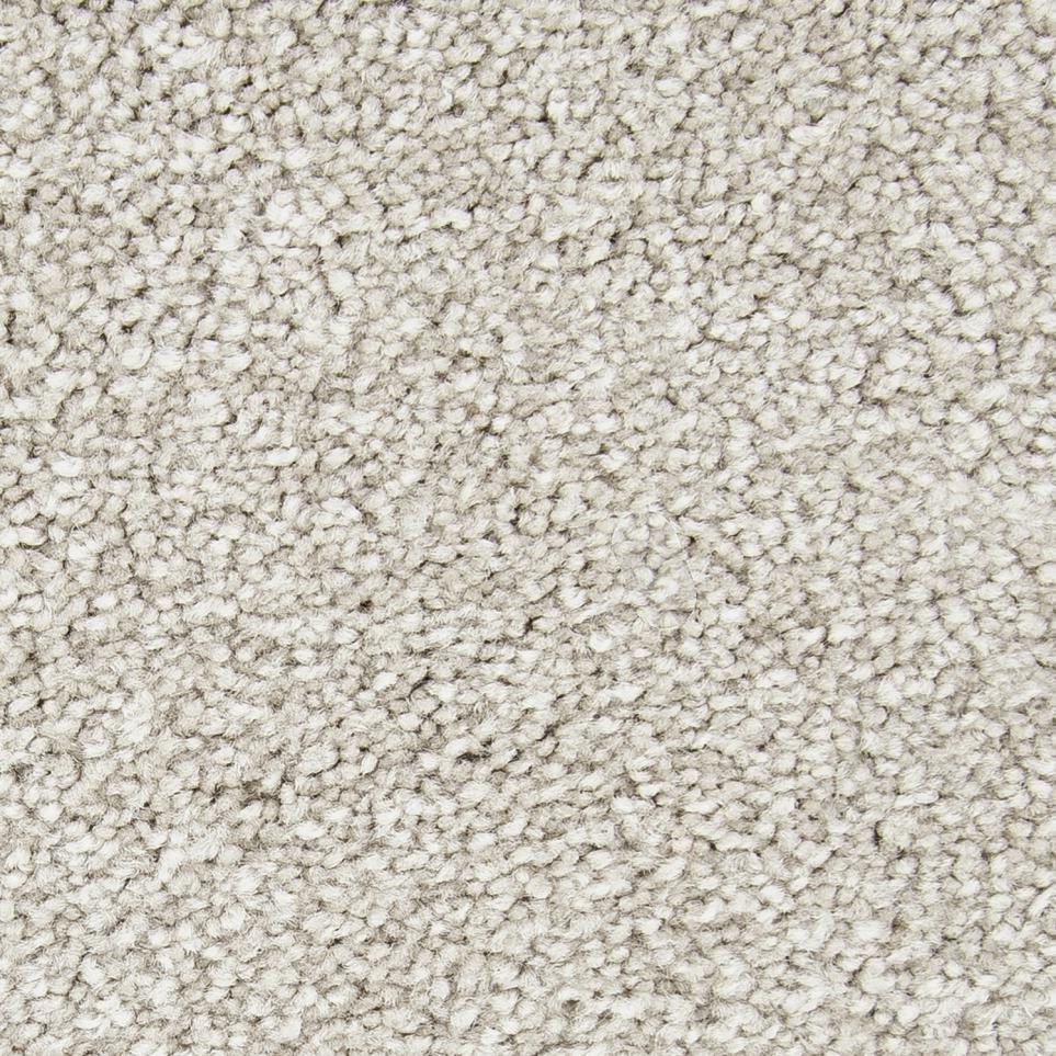 Texture Divinity Beige/Tan Carpet