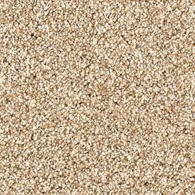Textured Saxony Parchment Beige/Tan Carpet