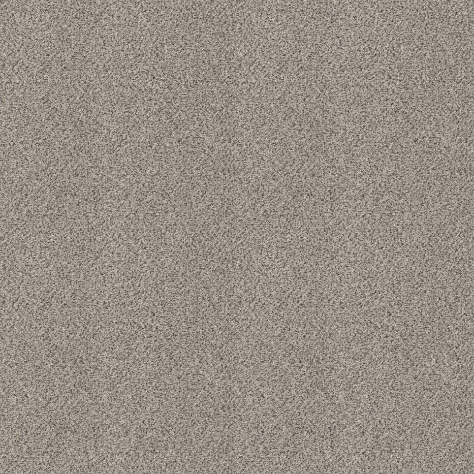 Texture Grain Beige/Tan Carpet