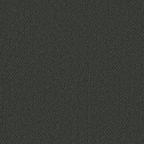 Loop Alpine Brown Carpet
