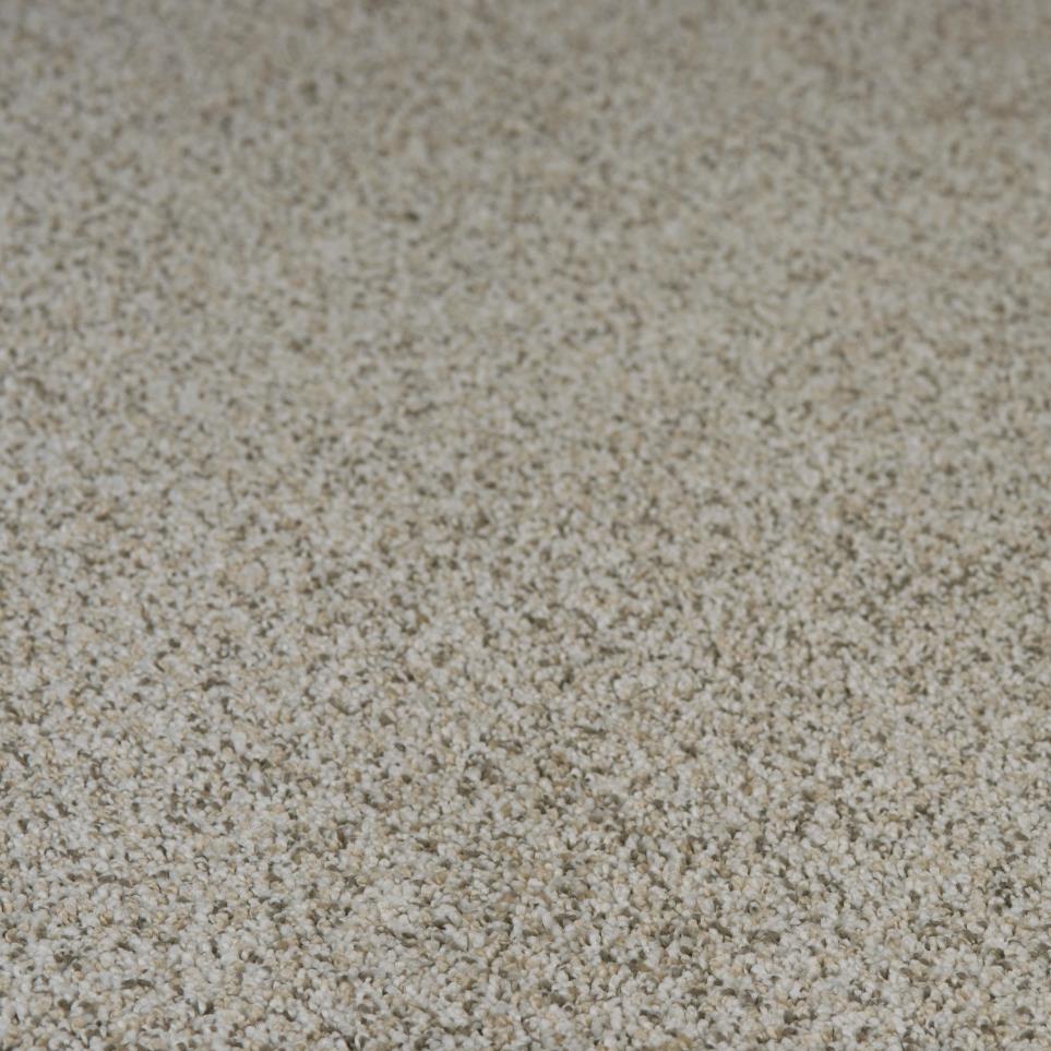 Textured Saxony Deer Creek Beige/Tan Carpet