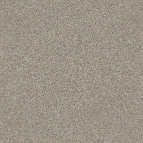 Casual Texture Winterwood Beach Beige/Tan Carpet