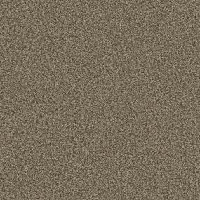 Textured Saxony Apple Crisp Brown Carpet