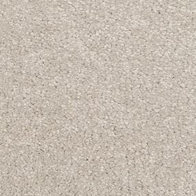Textured Saxony Sure Beige/Tan Carpet