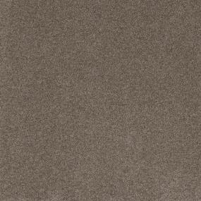 Textured Saxony Delegate Brown Carpet