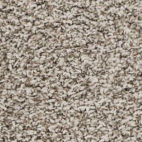 Texture Coronado Gray Carpet